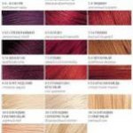 Какую краску для волос выбрать (видео урок)