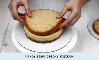 Накрываем сверху коржом